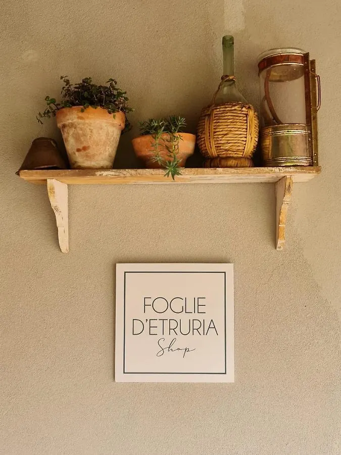 Il Pievano B&B Campiglia Marittima Bed & Breakfast